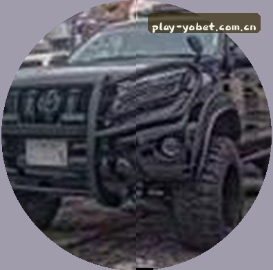 赵刚